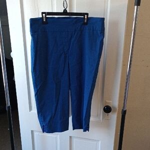 Ruby Rd. Blue Capris